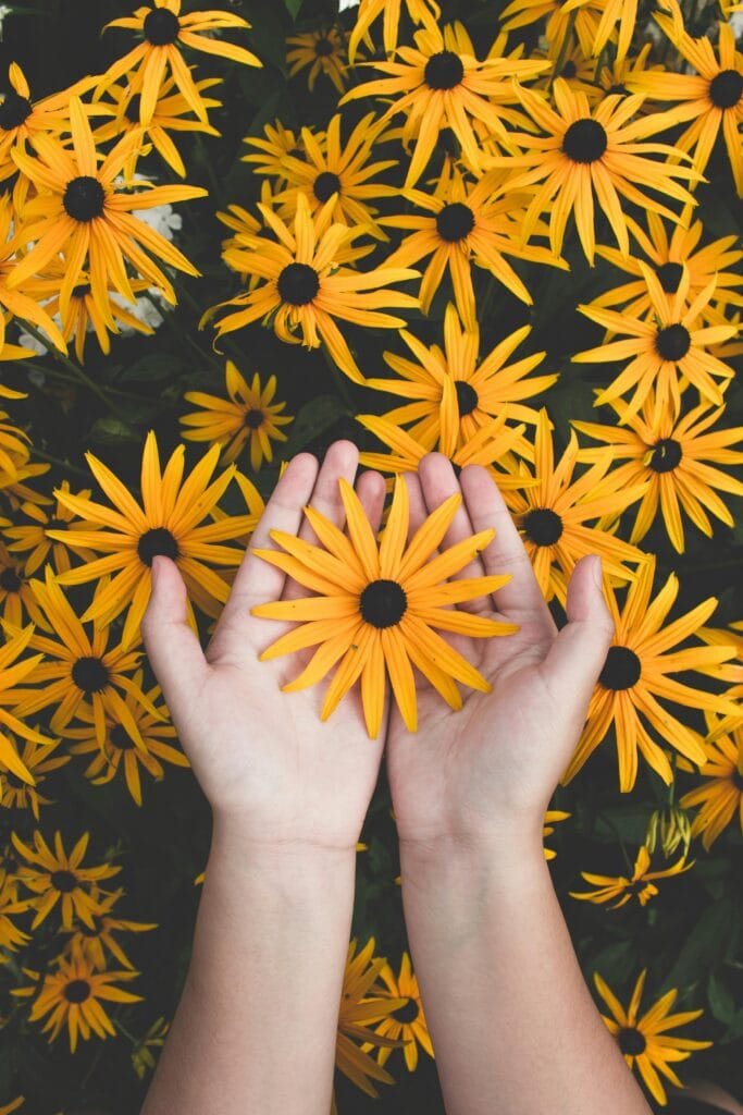 Hands holding vibrant yellow flowers, symbolizing warmth, diversity, and inclusivity.