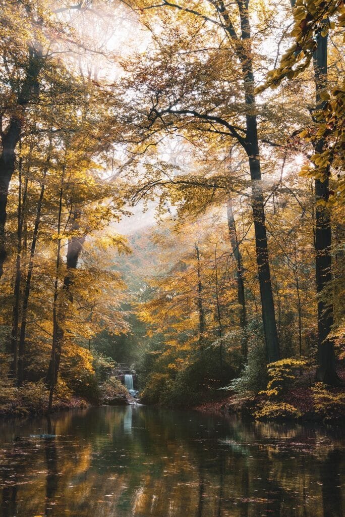 Serene waterfall surrounded by lush greenery, symbolizing tranquility and exclusivity.